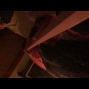 Meet your Posher, Alejandro